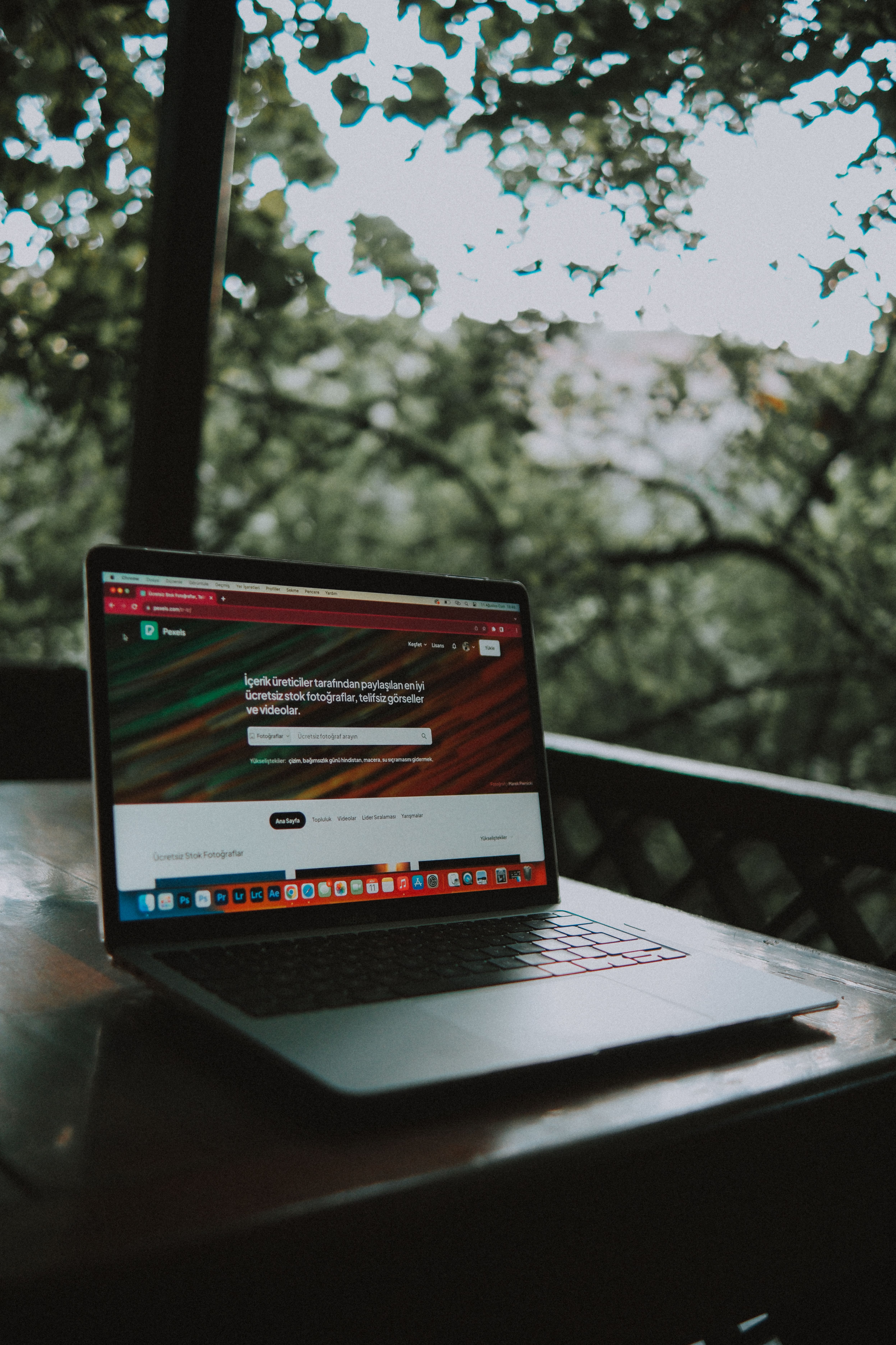 Web development